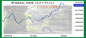 WILMAR: Palm oil prices are turning 