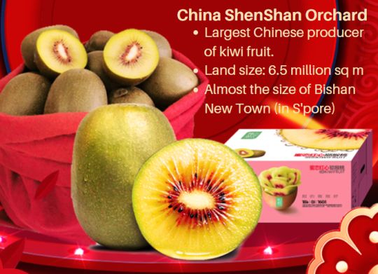 ShenShan kiwi overview