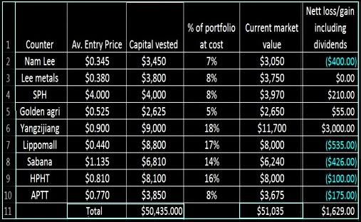 sillyinvestor_2013port