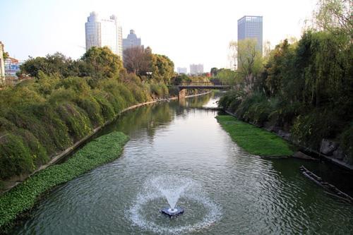 River restoration