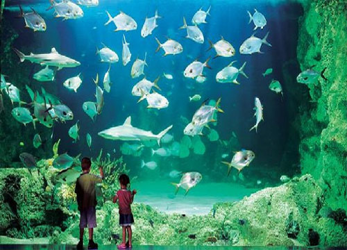 ShanghaiAquarium3.14