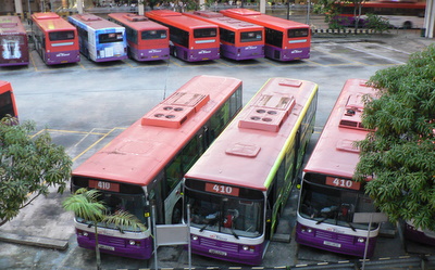 buses