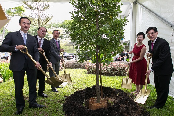 Tree Planting 26.7.2016