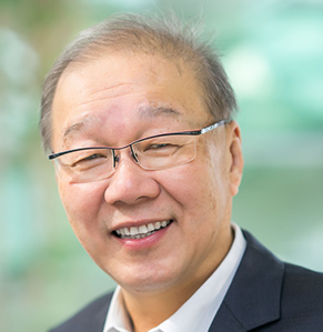 Professor Low Teck Seng